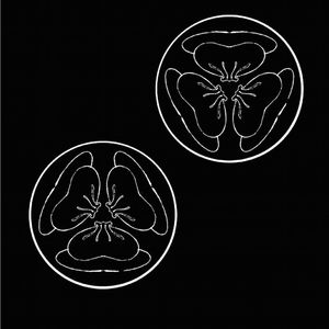 女生光溜溜图片视频素材无马塞克
