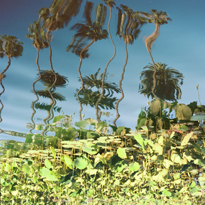 女生光溜溜图片视频素材无马塞克
