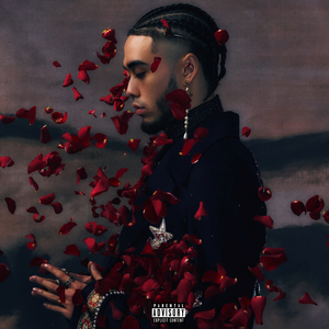 女生光溜溜图片视频素材无马塞克
